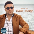 Erzurum Halayları - Single