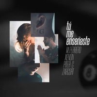 Tú Me Enseñaste (feat. Piter-G) - Single - M.Ferrero, Xenon & Zarcort
