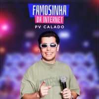 Famosinha da Internet - Single - PV Calado