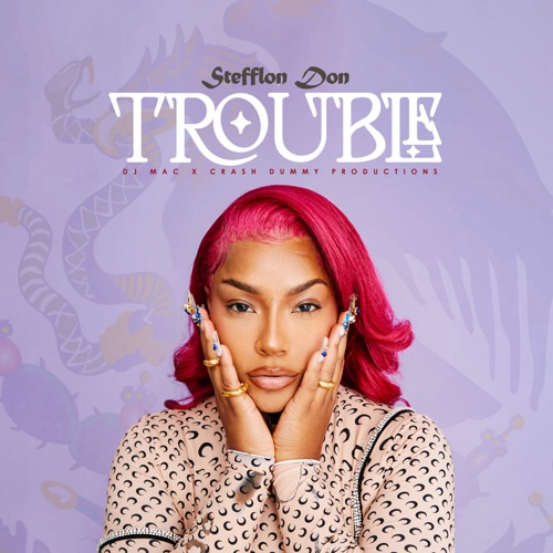 Stefflon Don, DJ Mac & CrashDummy – Trouble – Single [iTunes Plus AAC M4A]