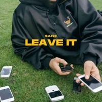 Leave It - Single - SANE