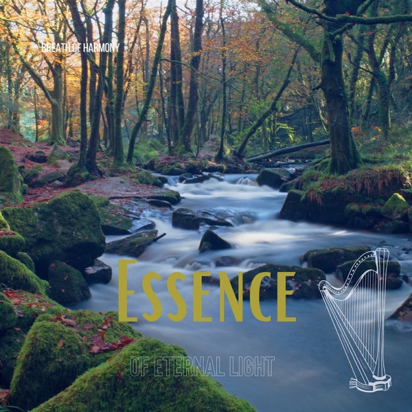 Essence of Eternal Light