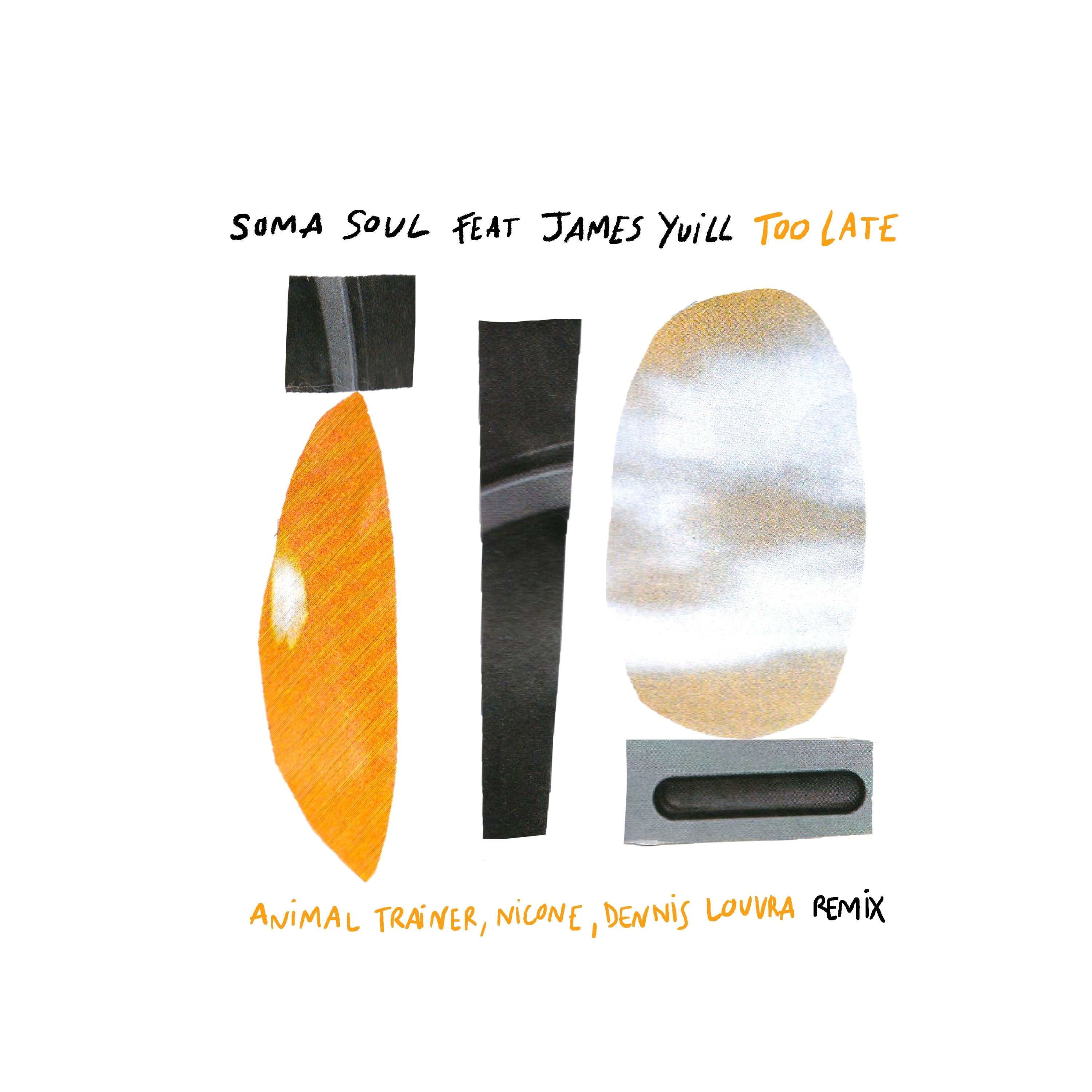 Too Late (Animal Trainer Remix) - Single