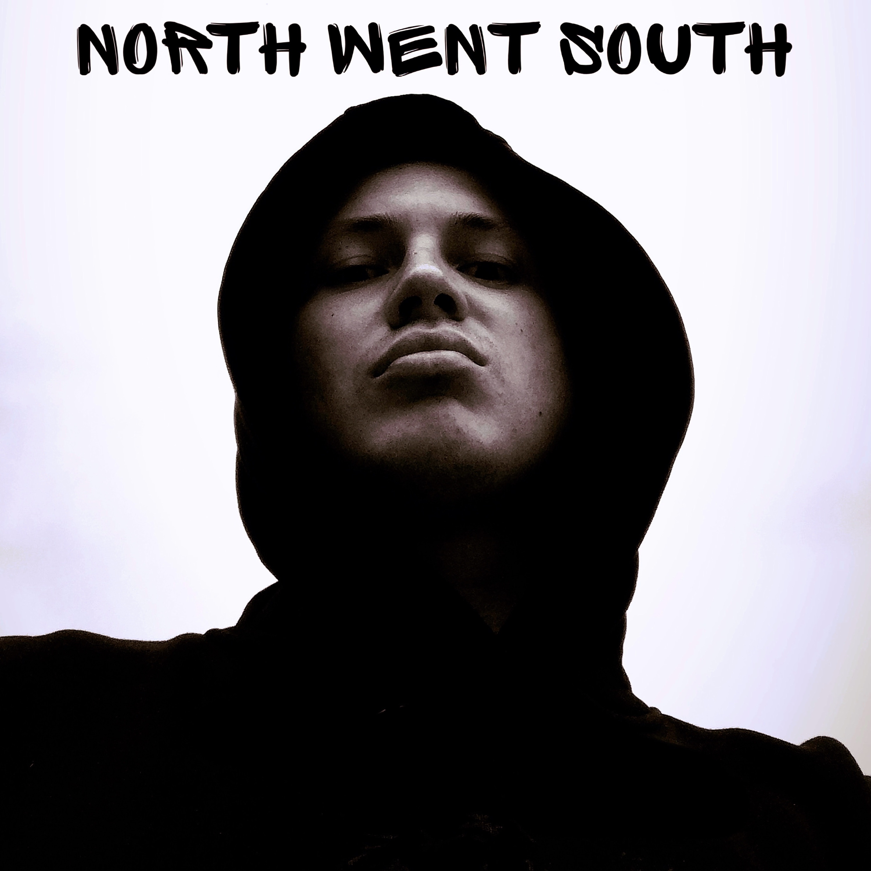 North Went South - Single