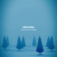 wintertime - Single - arancina & I'm flying