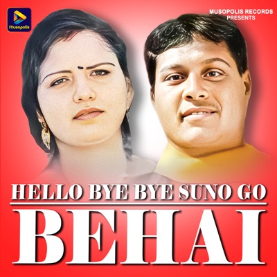 Hello Bye Bye Suno Go Behai - Single