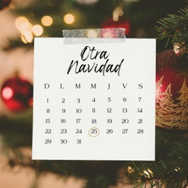 Otra Navidad (feat. Payan, Laura, Jophiel, Sury, Manuel & Daniela) Annrey