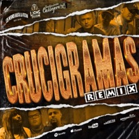 Crucigramas (feat. Niivy, Derihery & Sentimiento Callejero) [Remix] - Single - LMHLF Oficial