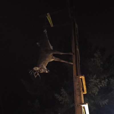 Dark Temptation Timeline - EP