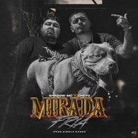 Mirada Fría (feat. El Cheyo) - Single - ShadowMc