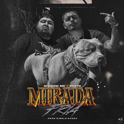 Mirada Fría (feat. El Cheyo) - Single