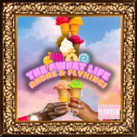 The Sweet Life (feat. H.e.m.) - Single - Flykingi