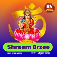 Shreem Brzee - EP - Pradnya Annam
