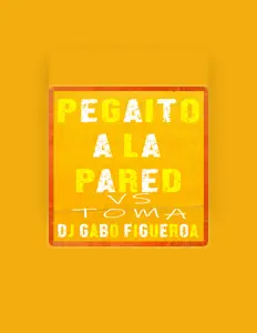 Dj Gabo Figueroa सुनें, म्यूज़िक वीडियो देखें, बायो पढ़ें, दौरे की तारीखें और बहुत कुछ देखें!