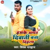 Hamke Aapan Diwani Bana Dihla - Single