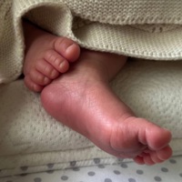 Ya Ta Eh Poe - Single - Thae Thae