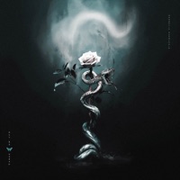 Silver Venom - Single - Brad Arthur