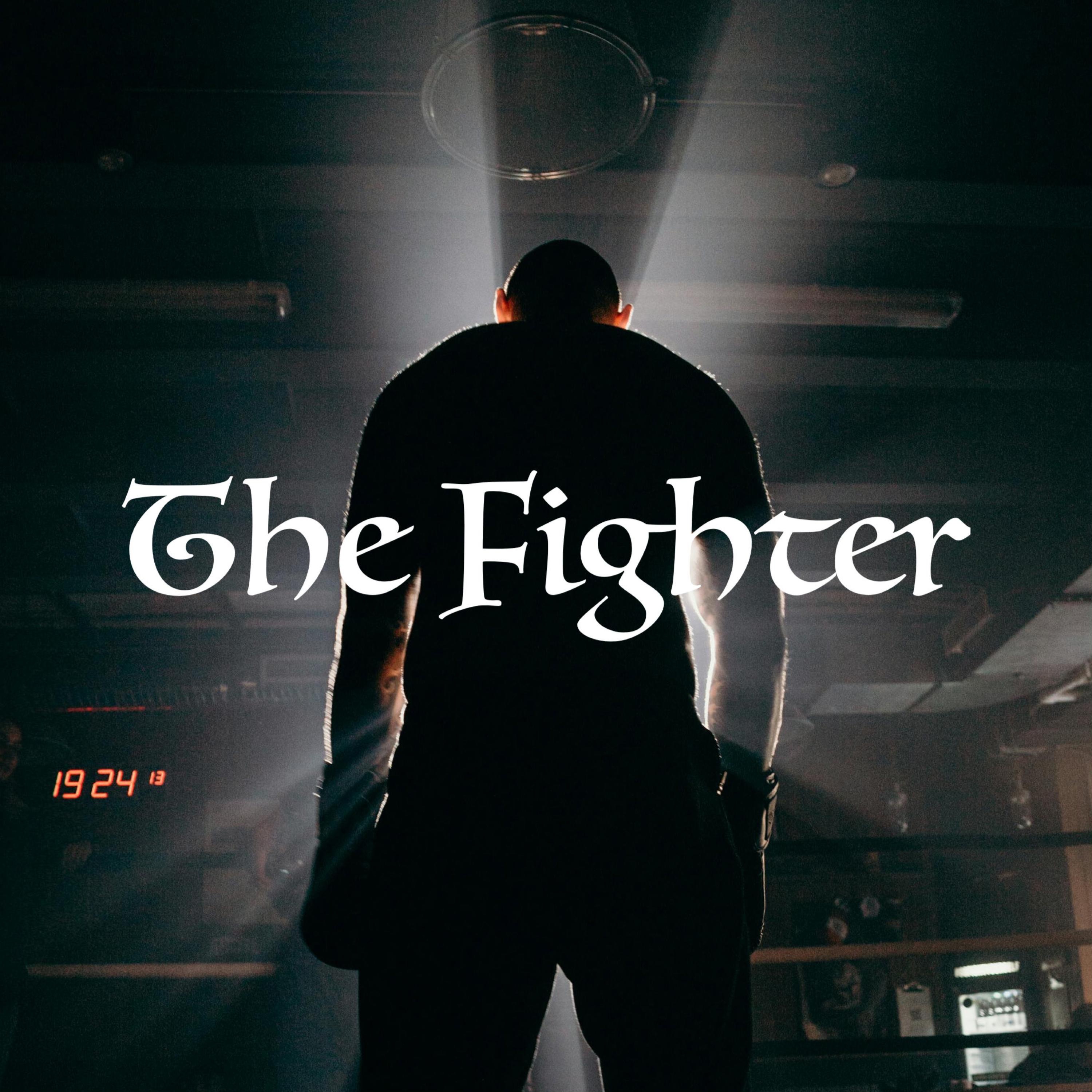 The Fighter - Single
