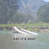 Say It's Okay - Single - Austin Jenckes