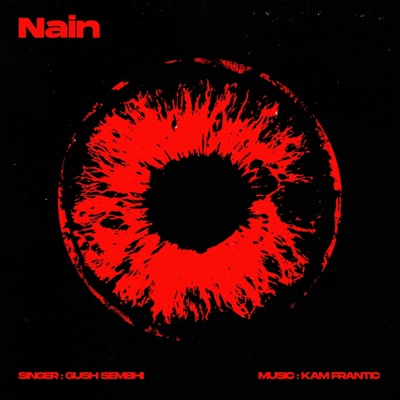 Nain (feat. Kam Frantic) - Single