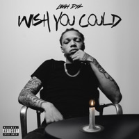 Wish You Could - Single - Luhh Dyl