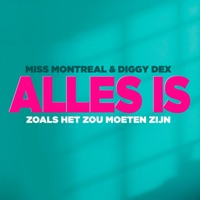 Alles Is Zoals Het Zou Moeten Zijn