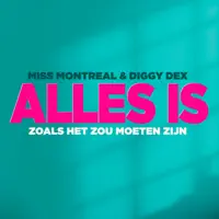 Alles Is Zoals Het Zou Moeten Zijn