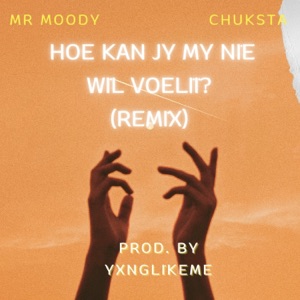 Hoe Kan Jy My Nie Wil Voelii (feat. Mr Moody & Chuksta) [Remix] - Single