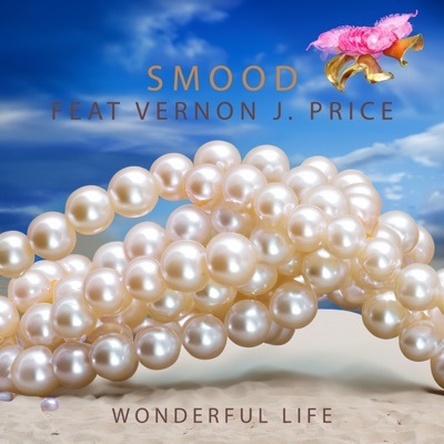 Wonderful Life (feat. Vernon J. Price) - Single