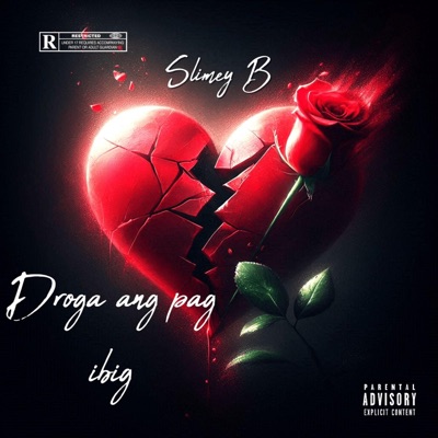 Droga ang Pag-ibig (feat. Shin Binuya) - Single