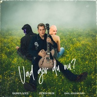 VAD GÖR DU NU - Single - Rasmus Gozzi, FRÖKEN SNUSK & Emil Assergård