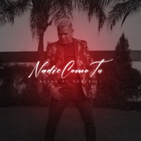 Nadie Baila Como Tú - Single - Bruno El Número 1