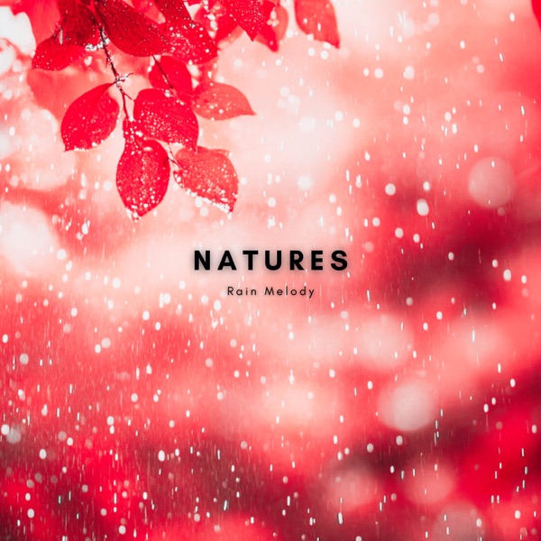Gentle Night Rain