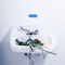 Bad, Bad, Bad (Matt DiMona Remix) - LANY lyrics