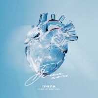 Белая ночь (DJ Smell Extended Remix) - Single - Пчела