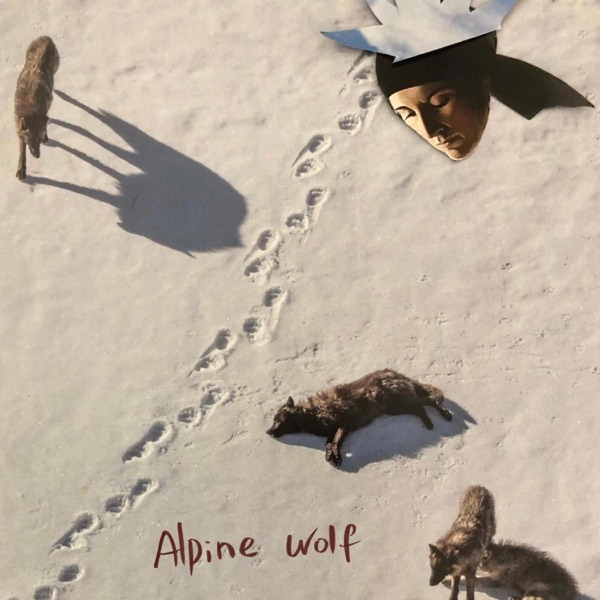 Alpine Wolf