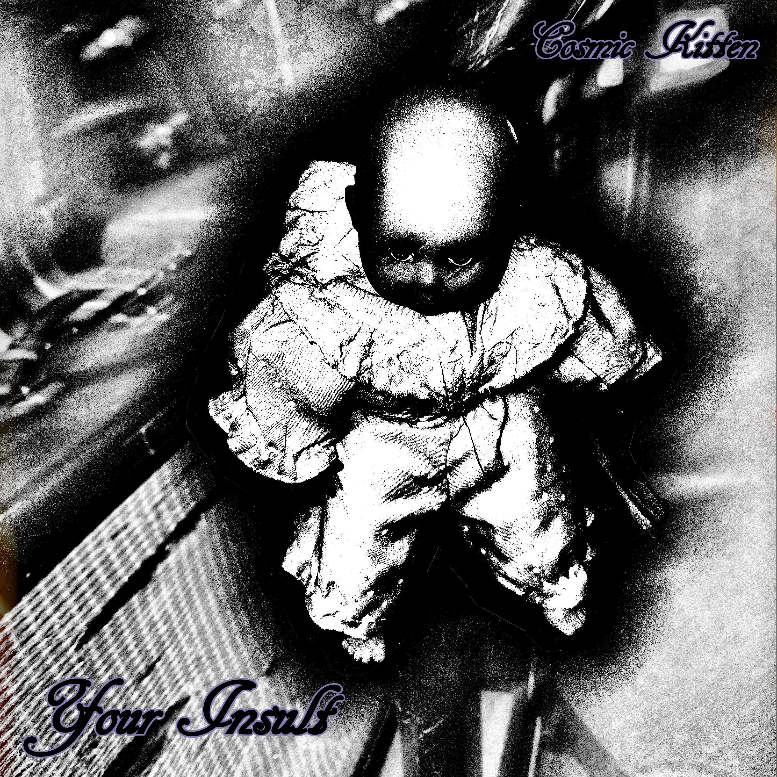 Your Insult - Single