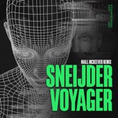 Voyager (Niall Mckeever) artwork