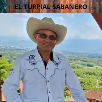 El turpial Sabanero - Los Desastres De Mi Burro — Yesid Angel