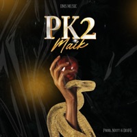 PK2 (feat. DeiFG) - Single - Maik & Matt