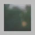 Green Hands