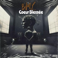 cœur blessée - BML69