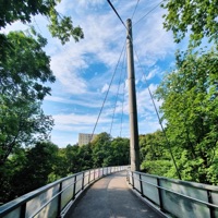 cold ferment - Single - birdnote & Kjetil Jerve