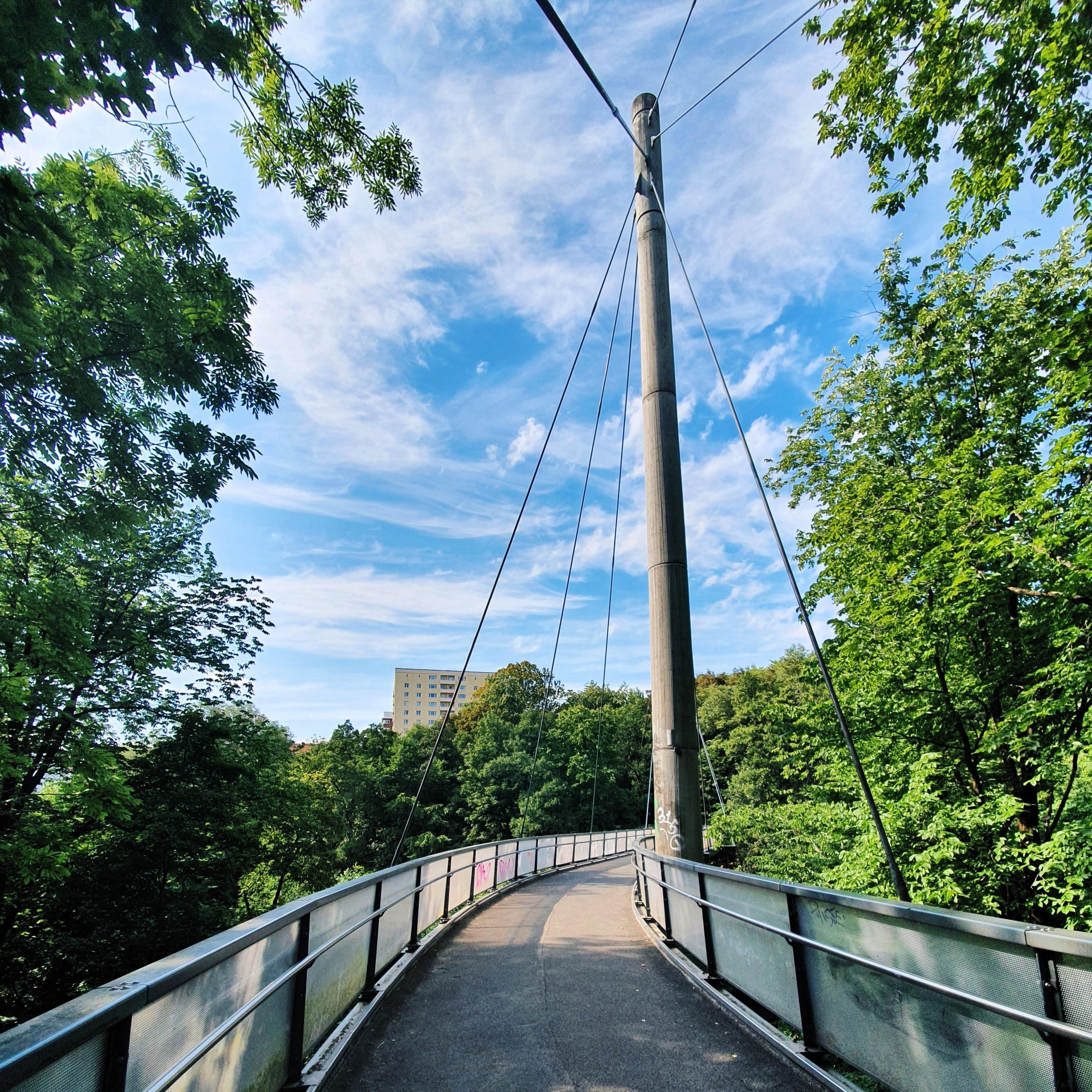 cold ferment - Single