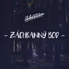 Záchranný bod