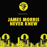 Never Knew - Single - James Morris