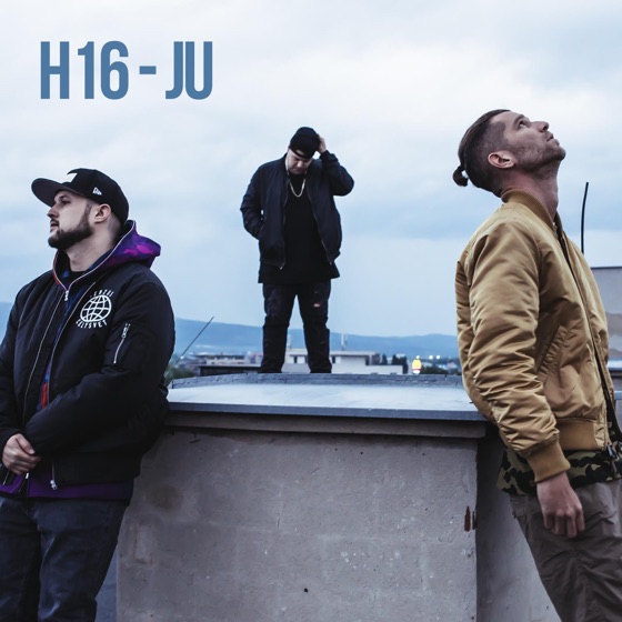 Cover artwork for Ju