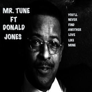You'll Never Find Another Love Like Mine (feat. Donald Jones) - Single