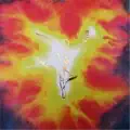 Spiritual Athleticism