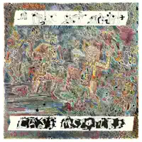 A.Y.D. — Cass McCombs